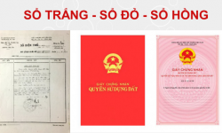 Sổ đỏ, Sổ hồng, Sổ trắng và cách hiểu đúng
