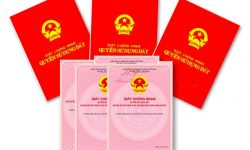 07 loại giấy tờ về quyền sử dụng đất dùng làm căn cứ cấp sổ đỏ