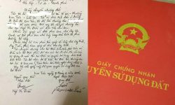 Nội dung Điều 100 Chương VII Luật Đất đai