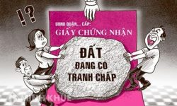 Nhà đất năm 2021 : Những hạn chế khi đất đai phát sinh tranh chấp