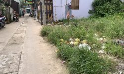 Bán đất nền hẻm 352 Tôn Đức Thắng, Phường 5, Sóc Trăng