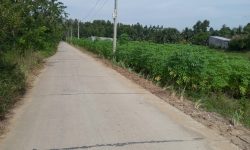 Bán hơn 4 công ruộng đường kênh 3/2 Phường 9, gần bệnh viện đa khoa