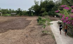 Bán đất 35m mặt tiền lộ dal cách cầu Bưng Cóc 200m