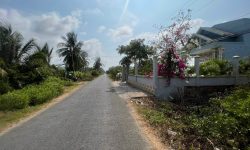 Bán nhà vườn 49×67 mặt tiền lộ nhựa đường vườn nhãn Lai Hoà, Vĩnh Châu, Sóc Trăng